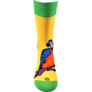 Barevné ponožky papoušek